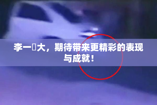 李一挏大，期待带来更精彩的表现与成就！