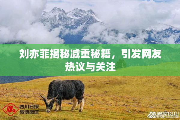 刘亦菲揭秘减重秘籍，引发网友热议与关注