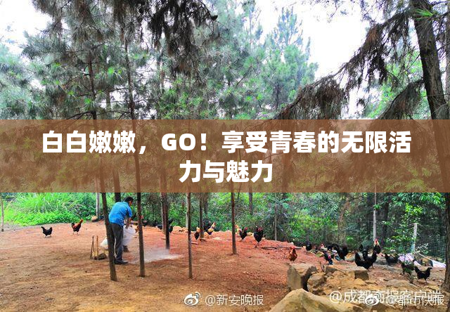 白白嫩嫩，GO！享受青春的无限活力与魅力