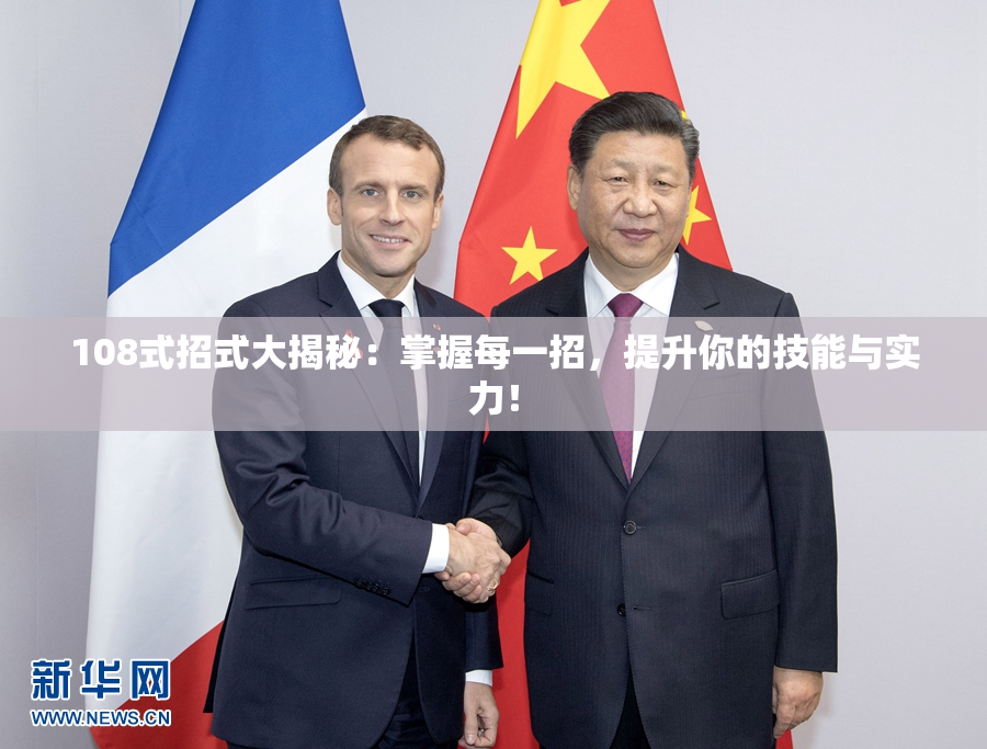 108式招式大揭秘：掌握每一招，提升你的技能与实力！