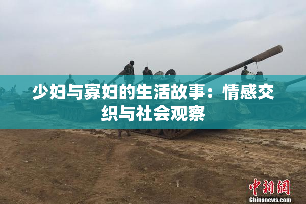 少妇与寡妇的生活故事：情感交织与社会观察