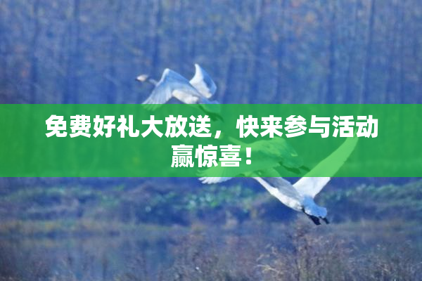 免费好礼大放送，快来参与活动赢惊喜！