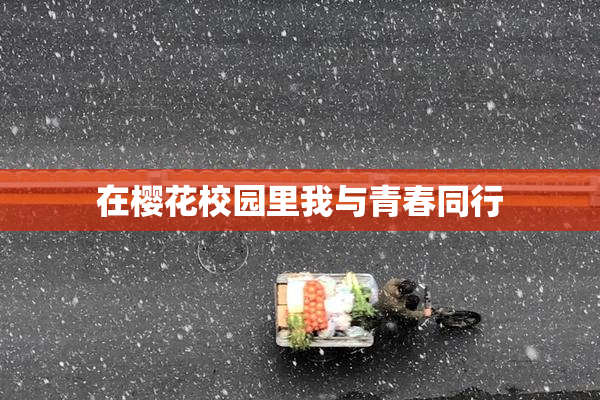 在樱花校园里我与青春同行