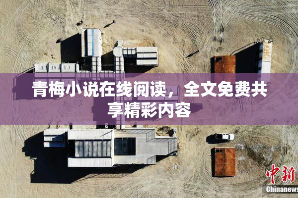 青梅小说在线阅读，全文免费共享精彩内容