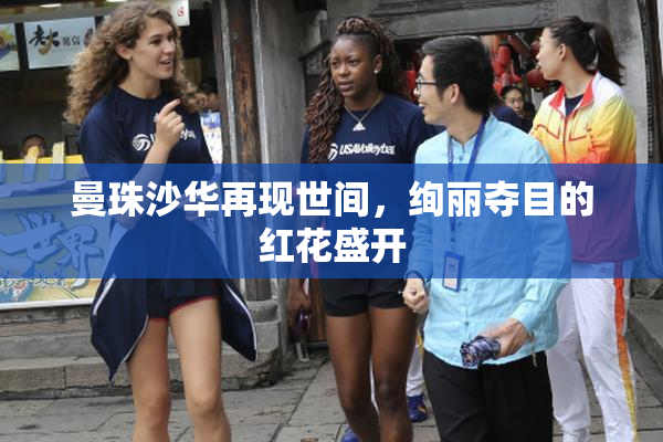 曼珠沙华再现世间，绚丽夺目的红花盛开