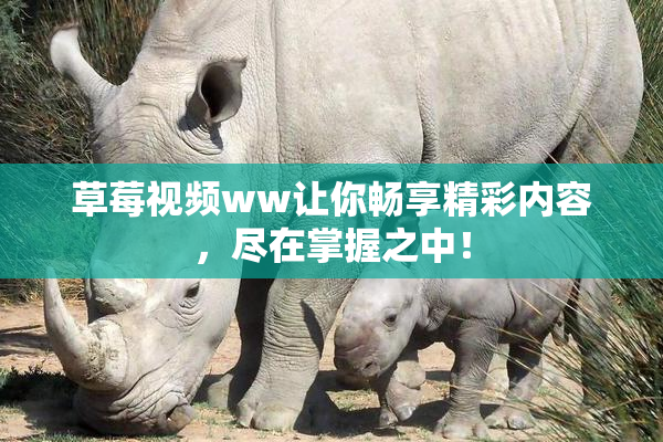 草莓视频ww让你畅享精彩内容，尽在掌握之中！