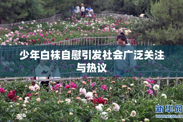 少年白袜自慰引发社会广泛关注与热议