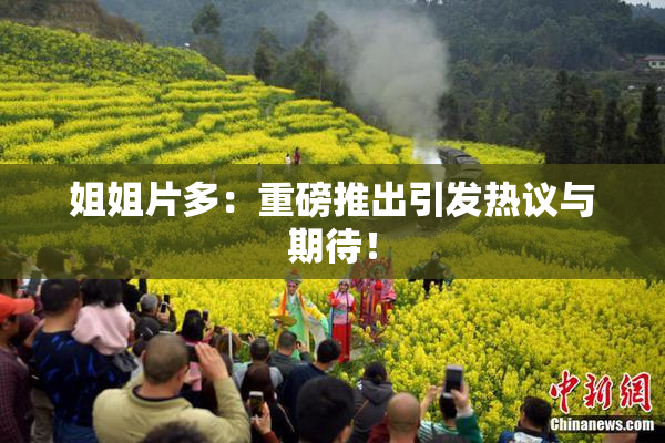 姐姐片多：重磅推出引发热议与期待！
