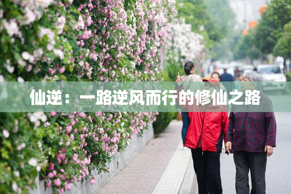 仙逆：一路逆风而行的修仙之路