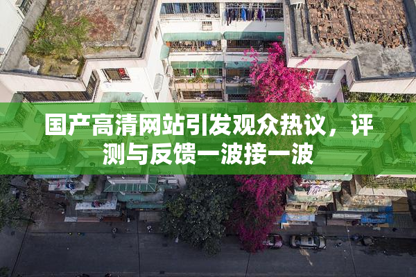 国产高清网站引发观众热议，评测与反馈一波接一波