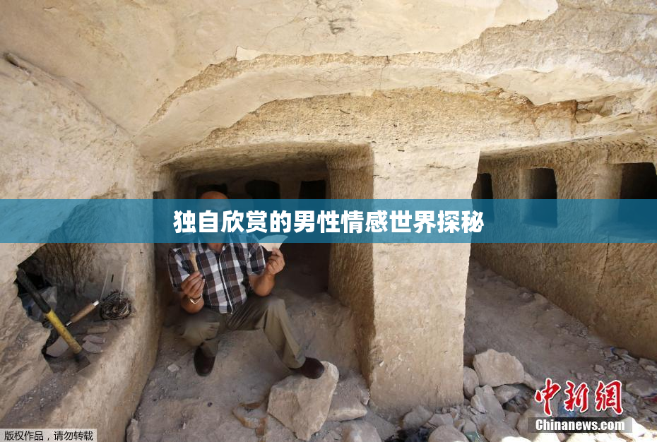 独自欣赏的男性情感世界探秘