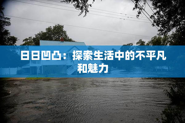 日日凹凸：探索生活中的不平凡和魅力