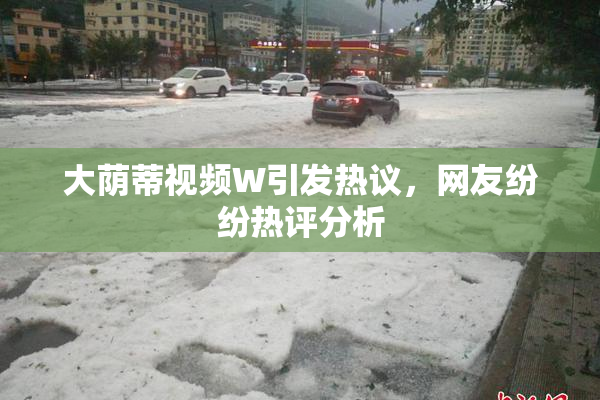 大荫蒂视频W引发热议，网友纷纷热评分析