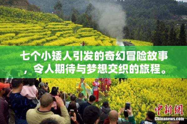 七个小矮人引发的奇幻冒险故事，令人期待与梦想交织的旅程。