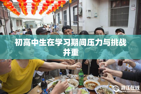 初高中生在学习期间压力与挑战并重