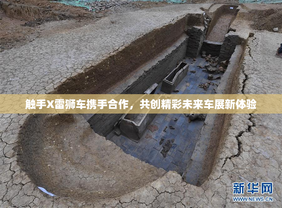 触手X雷狮车携手合作，共创精彩未来车展新体验