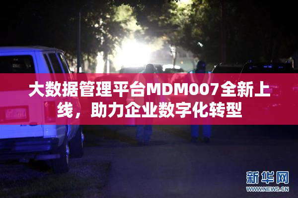 大数据管理平台MDM007全新上线，助力企业数字化转型