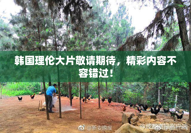 韩国理伦大片敬请期待，精彩内容不容错过！