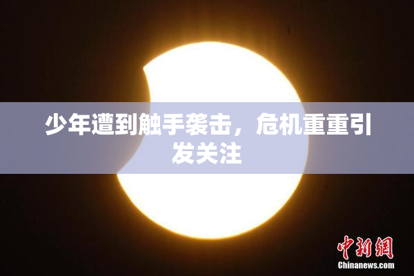 少年遭到触手袭击，危机重重引发关注