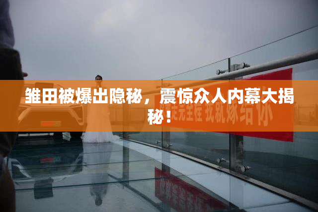 雏田被爆出隐秘，震惊众人内幕大揭秘！