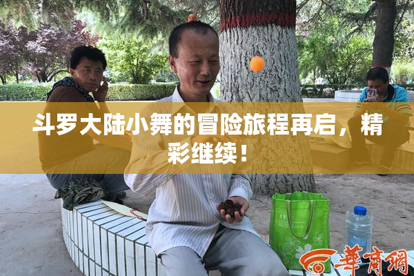 斗罗大陆小舞的冒险旅程再启，精彩继续！