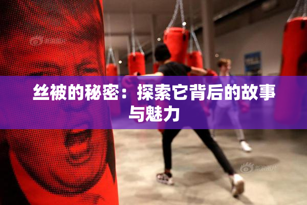 丝被的秘密：探索它背后的故事与魅力