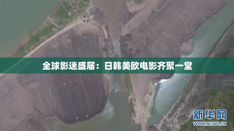 全球影迷盛届：日韩美欧电影齐聚一堂