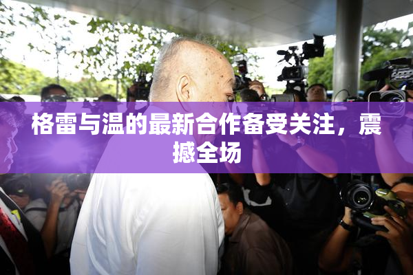 格雷与温的最新合作备受关注，震撼全场