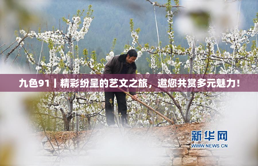 九色91丨精彩纷呈的艺文之旅，邀您共赏多元魅力！