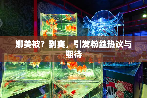 娜美被？到爽，引发粉丝热议与期待
