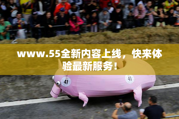 www.55全新内容上线，快来体验最新服务！