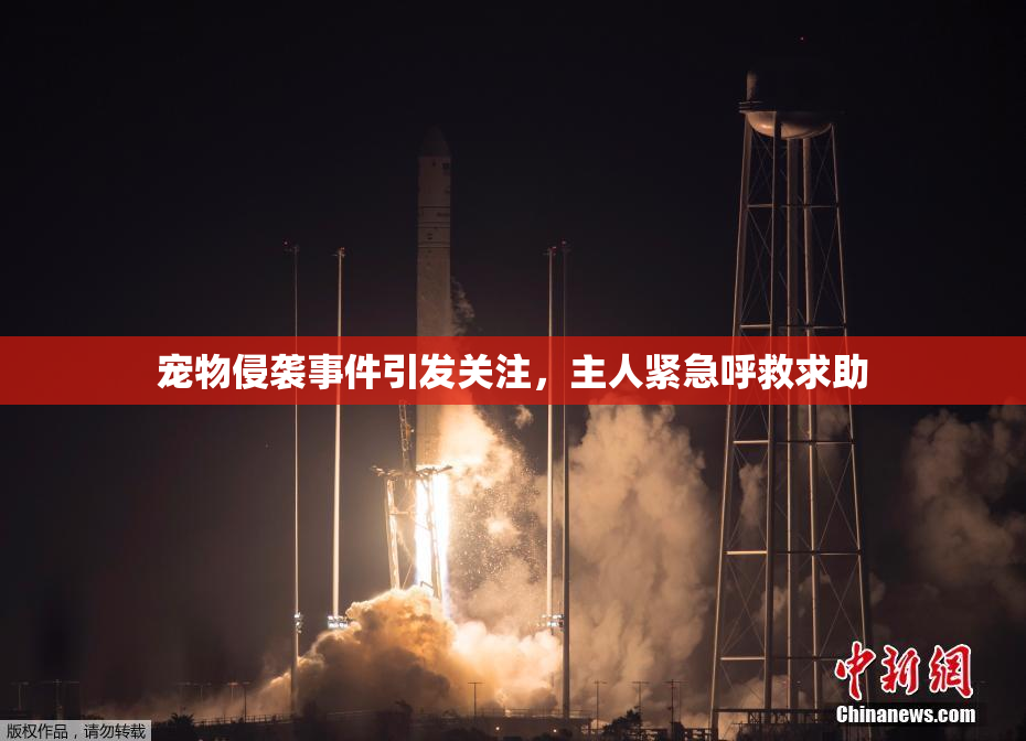 宠物侵袭事件引发关注，主人紧急呼救求助