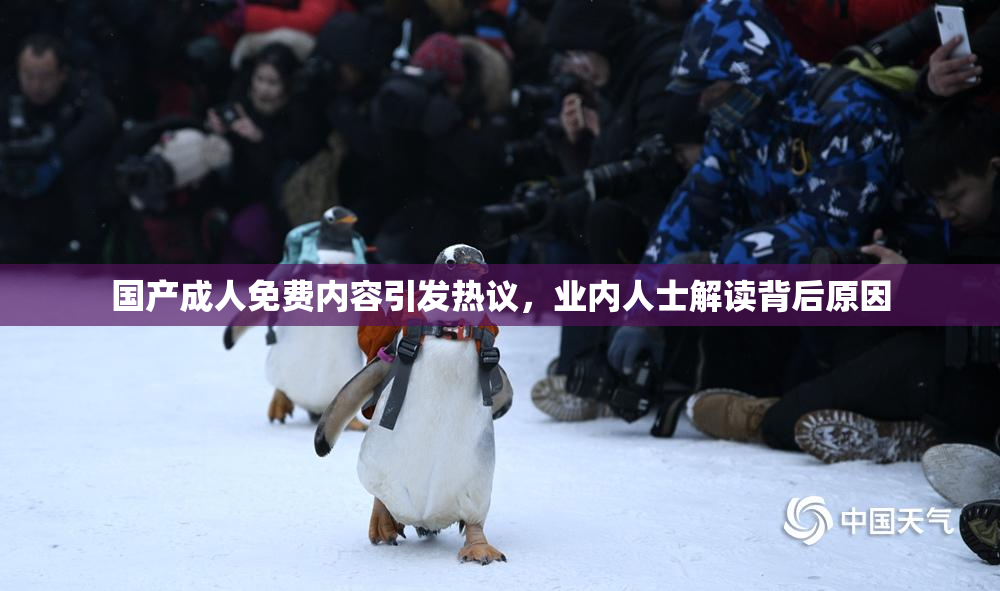 国产成人免费内容引发热议，业内人士解读背后原因