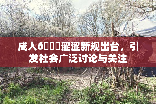 成人🔞涩涩新规出台，引发社会广泛讨论与关注