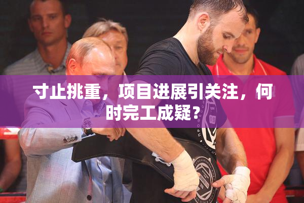 寸止挑重，项目进展引关注，何时完工成疑？