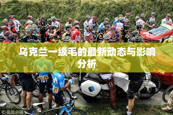 乌克兰一级毛的最新动态与影响分析