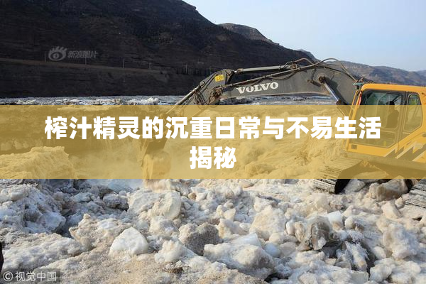 榨汁精灵的沉重日常与不易生活揭秘