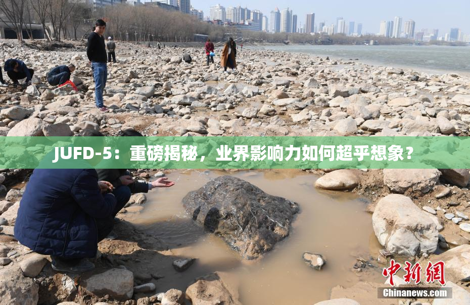 JUFD-5：重磅揭秘，业界影响力如何超乎想象？
