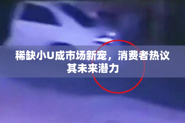稀缺小U成市场新宠，消费者热议其未来潜力