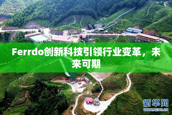 Ferrdo创新科技引领行业变革，未来可期