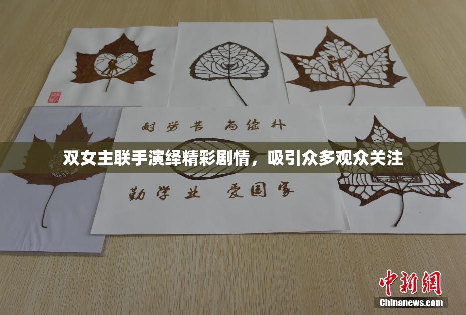 双女主联手演绎精彩剧情，吸引众多观众关注