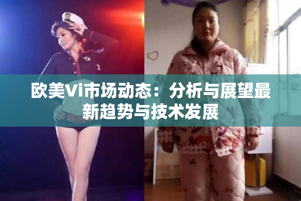 欧美Vi市场动态：分析与展望最新趋势与技术发展