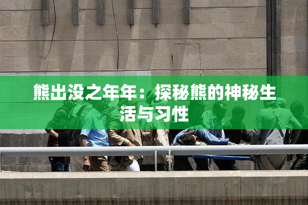 熊出没之年年：探秘熊的神秘生活与习性