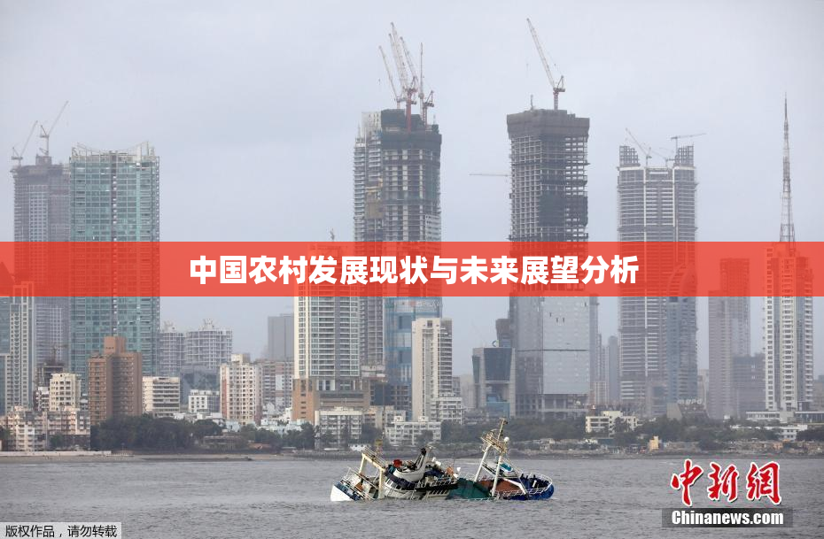 中国农村发展现状与未来展望分析