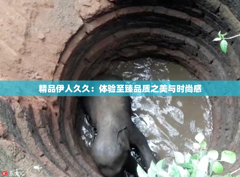 精品伊人久久：体验至臻品质之美与时尚感