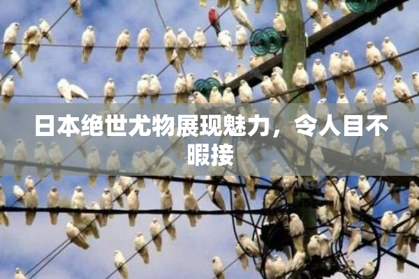 日本绝世尤物展现魅力，令人目不暇接