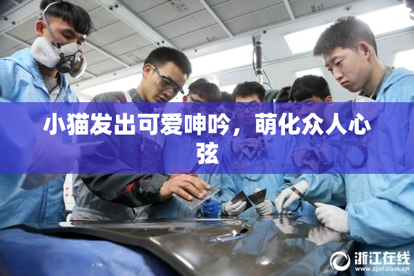 小猫发出可爱呻吟，萌化众人心弦