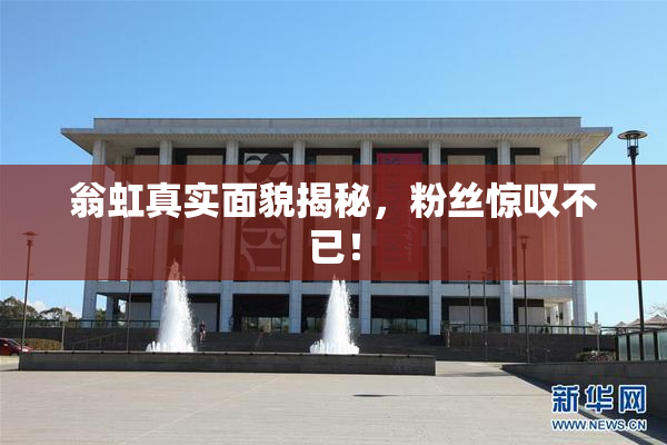 翁虹真实面貌揭秘，粉丝惊叹不已！