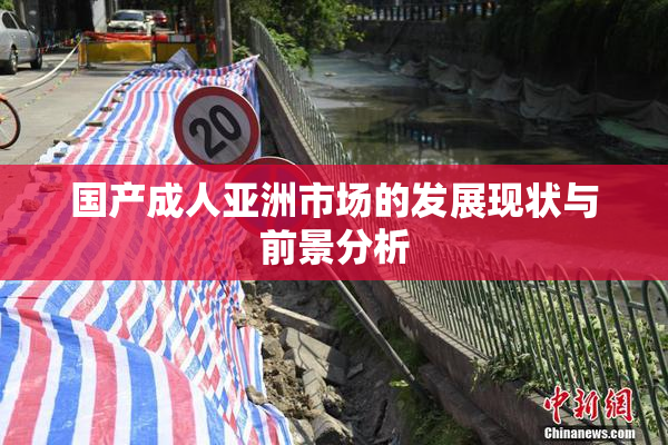 国产成人亚洲市场的发展现状与前景分析