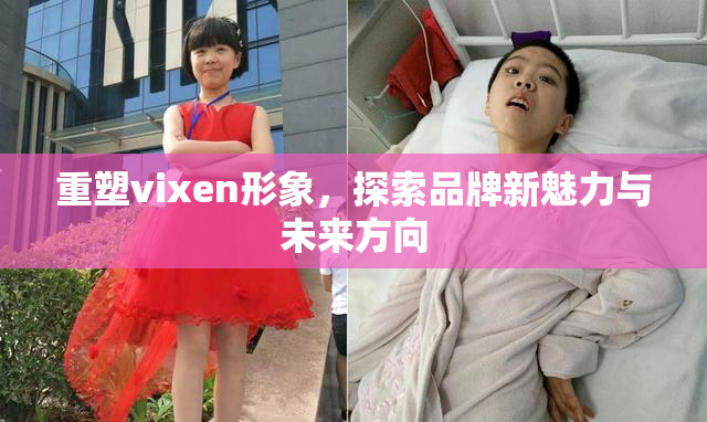 重塑vixen形象，探索品牌新魅力与未来方向